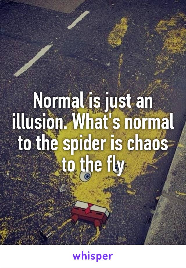 Normal is just an illusion. What's normal to the spider is chaos to the fly