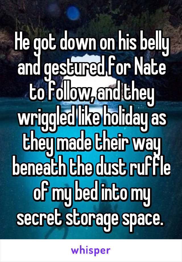 He got down on his belly and gestured for Nate to follow, and they wriggled like holiday as they made their way beneath the dust ruffle of my bed into my secret storage space. 