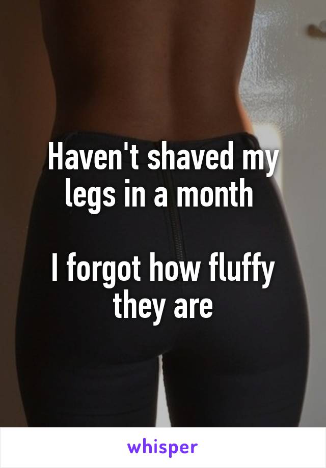 Haven't shaved my legs in a month 

I forgot how fluffy they are