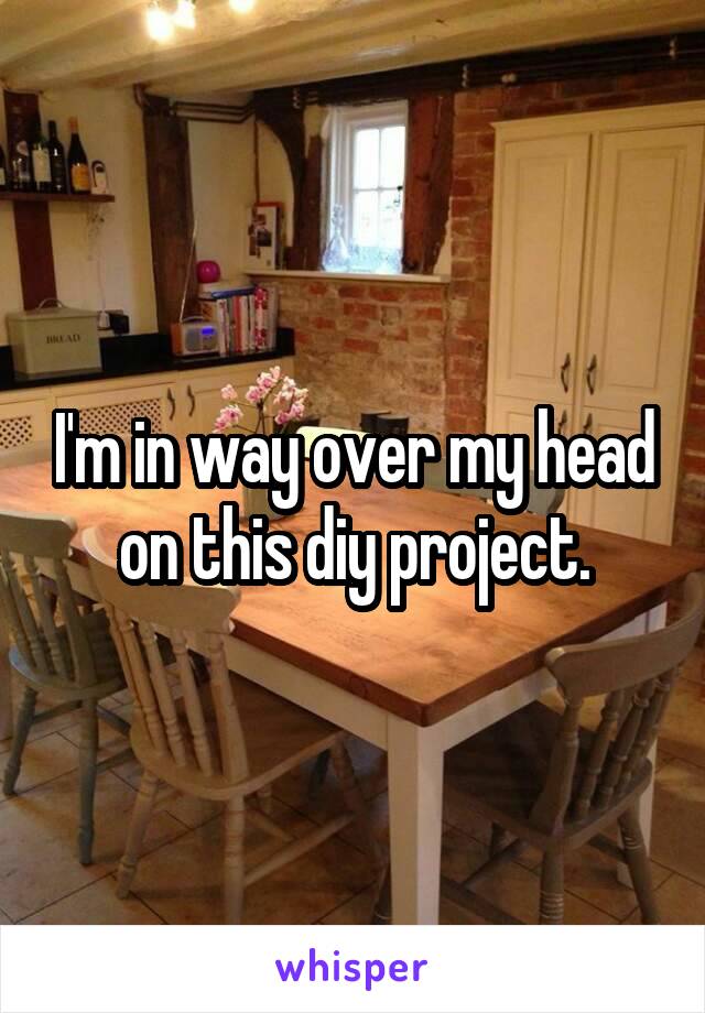 I'm in way over my head on this diy project.