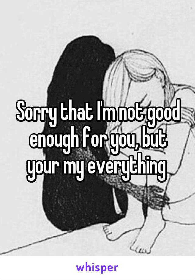 Sorry that I'm not good enough for you, but your my everything 