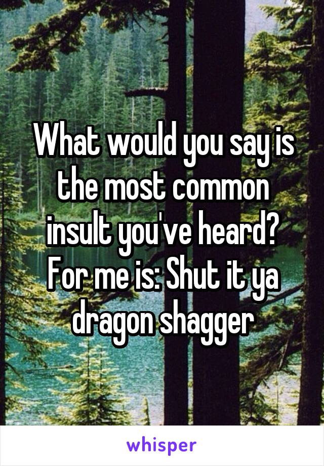 What would you say is the most common insult you've heard?
For me is: Shut it ya dragon shagger