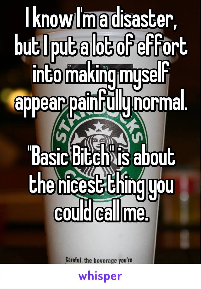 I know I'm a disaster, but I put a lot of effort into making myself appear painfully normal.

"Basic Bitch" is about the nicest thing you could call me.

