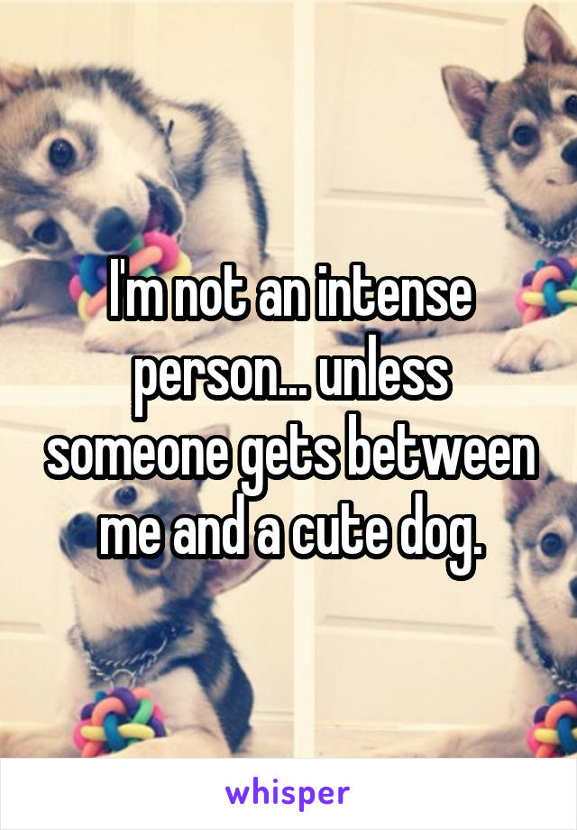 I'm not an intense person... unless someone gets between me and a cute dog.