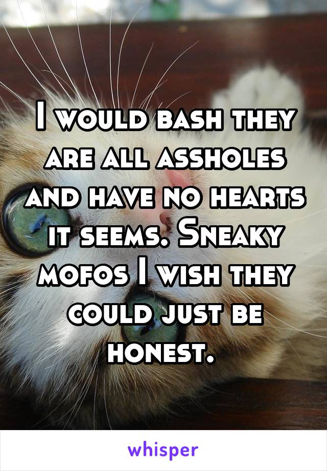 I would bash they are all assholes and have no hearts it seems. Sneaky mofos I wish they could just be honest. 