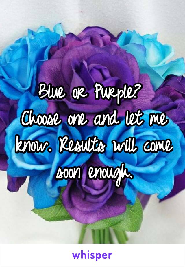 Blue or Purple? 
Choose one and let me know. Results will come soon enough.