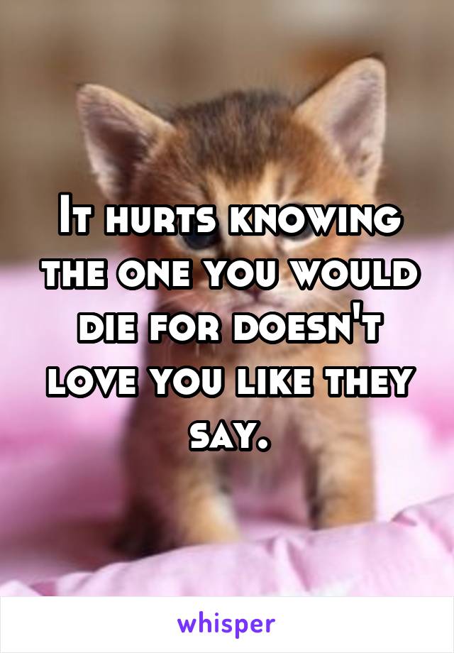 It hurts knowing the one you would die for doesn't love you like they say.