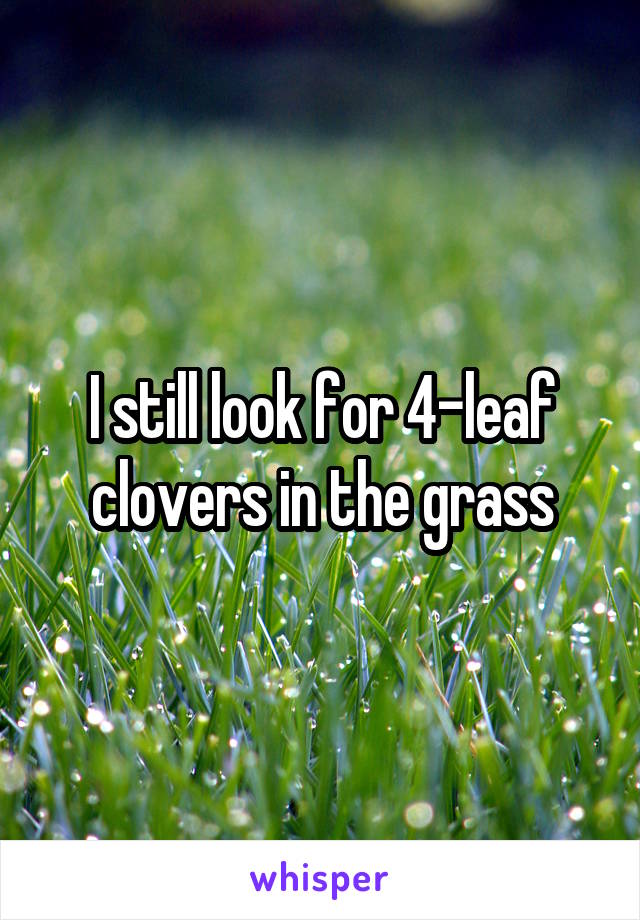 I still look for 4-leaf clovers in the grass