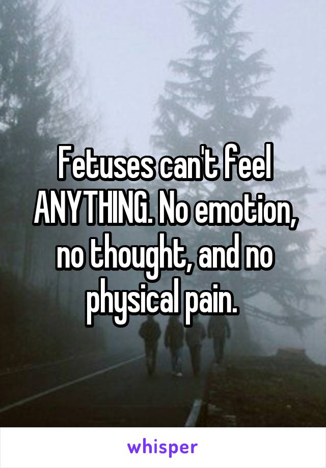 Fetuses can't feel ANYTHING. No emotion, no thought, and no physical pain. 