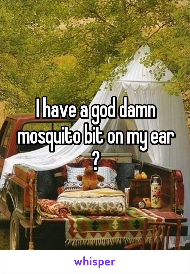 I have a god damn mosquito bit on my ear 😑