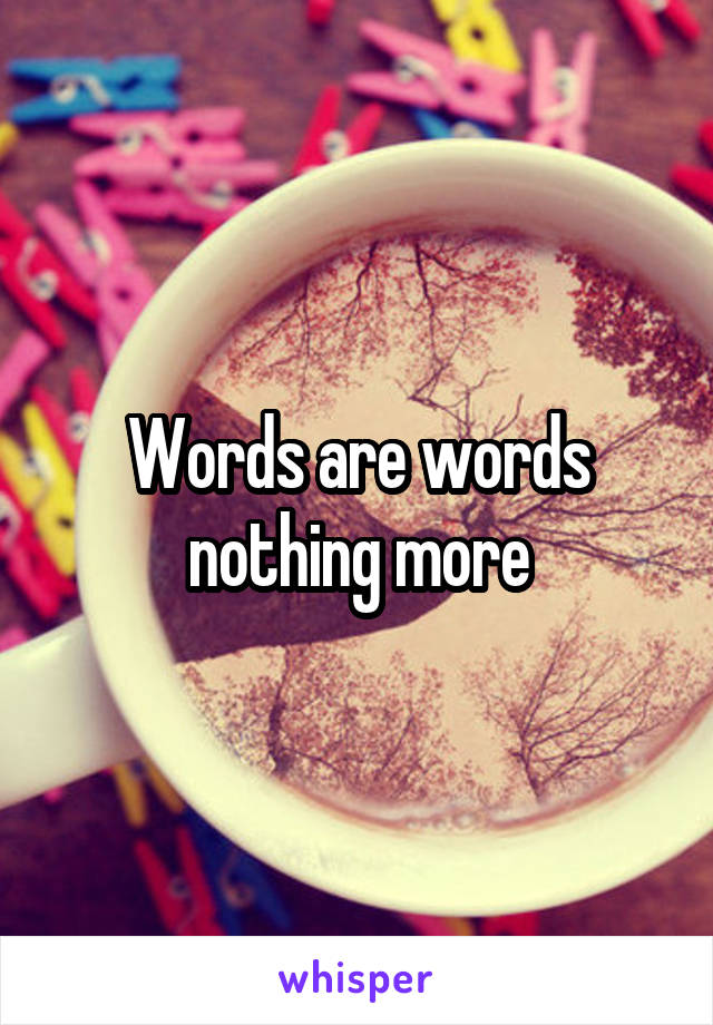 Words are words nothing more