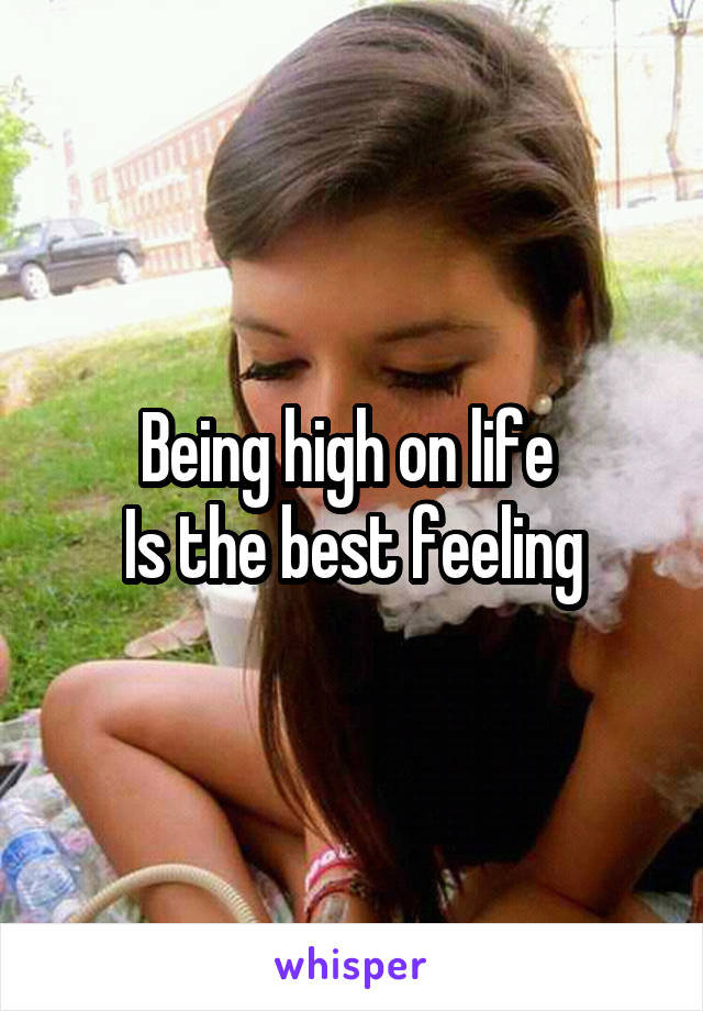 Being high on life 
Is the best feeling