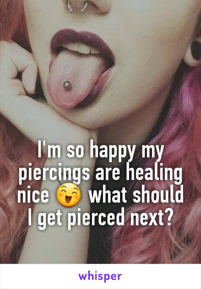 I'm so happy my piercings are healing nice 😄 what should I get pierced next?