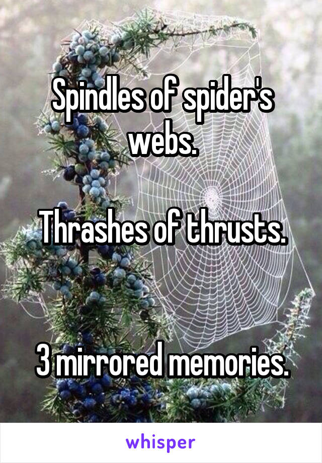 Spindles of spider's webs.

Thrashes of thrusts.


3 mirrored memories.