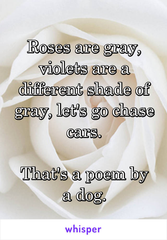 Roses are gray, violets are a different shade of gray, let's go chase cars.

That's a poem by a dog.