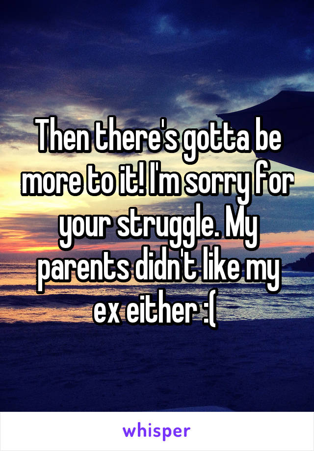 Then there's gotta be more to it! I'm sorry for your struggle. My parents didn't like my ex either :( 