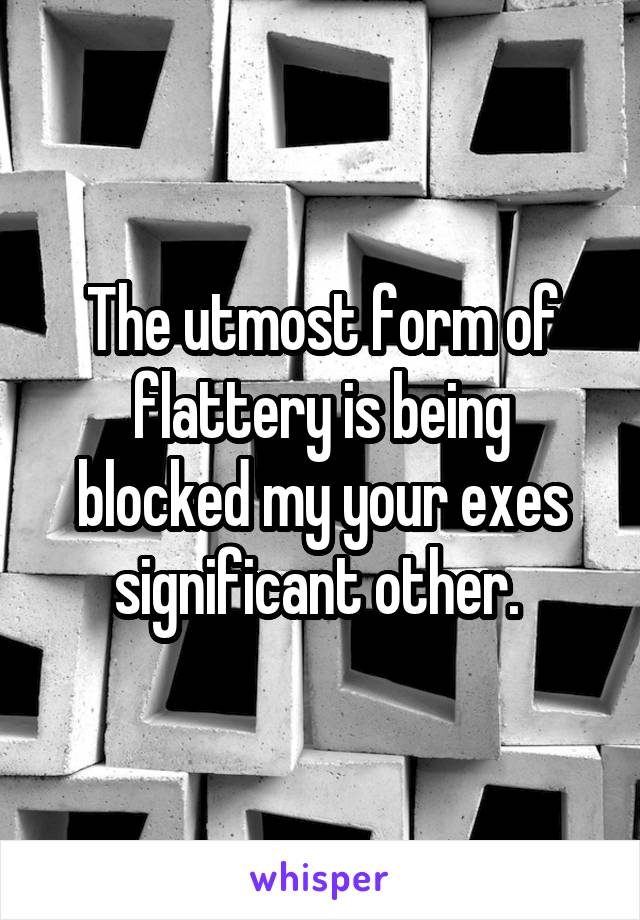 The utmost form of flattery is being blocked my your exes significant other. 