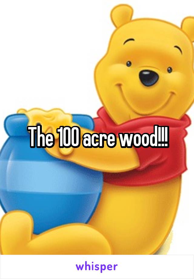 The 100 acre wood!!!