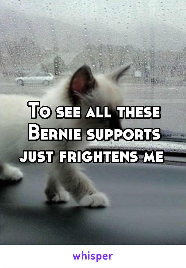 To see all these Bernie supports just frightens me 