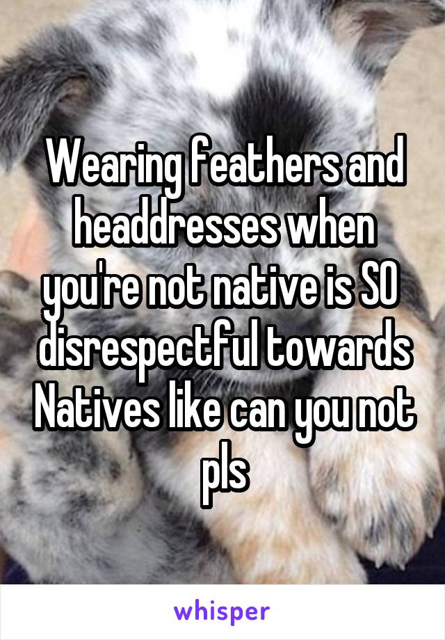 Wearing feathers and headdresses when you're not native is SO  disrespectful towards Natives like can you not pls