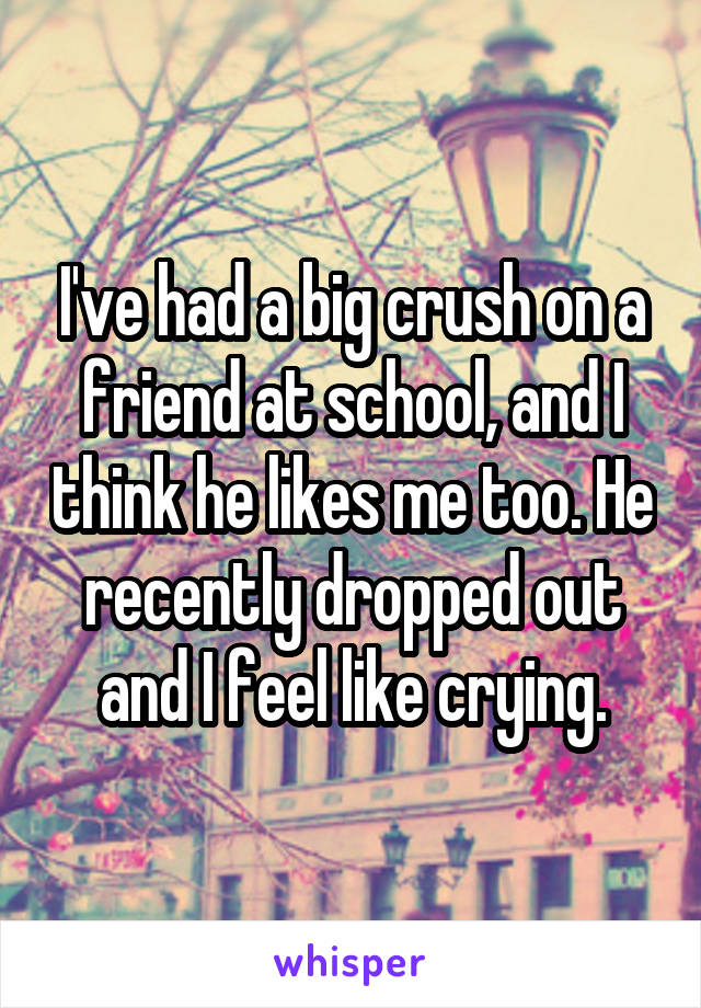 I've had a big crush on a friend at school, and I think he likes me too. He recently dropped out and I feel like crying.