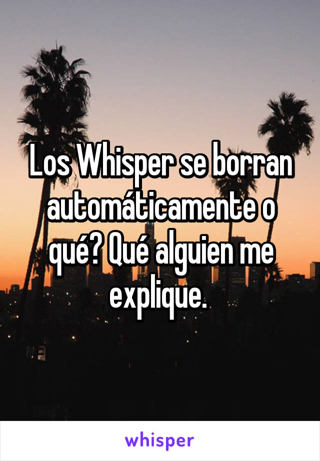 Los Whisper se borran automáticamente o qué? Qué alguien me explique. 