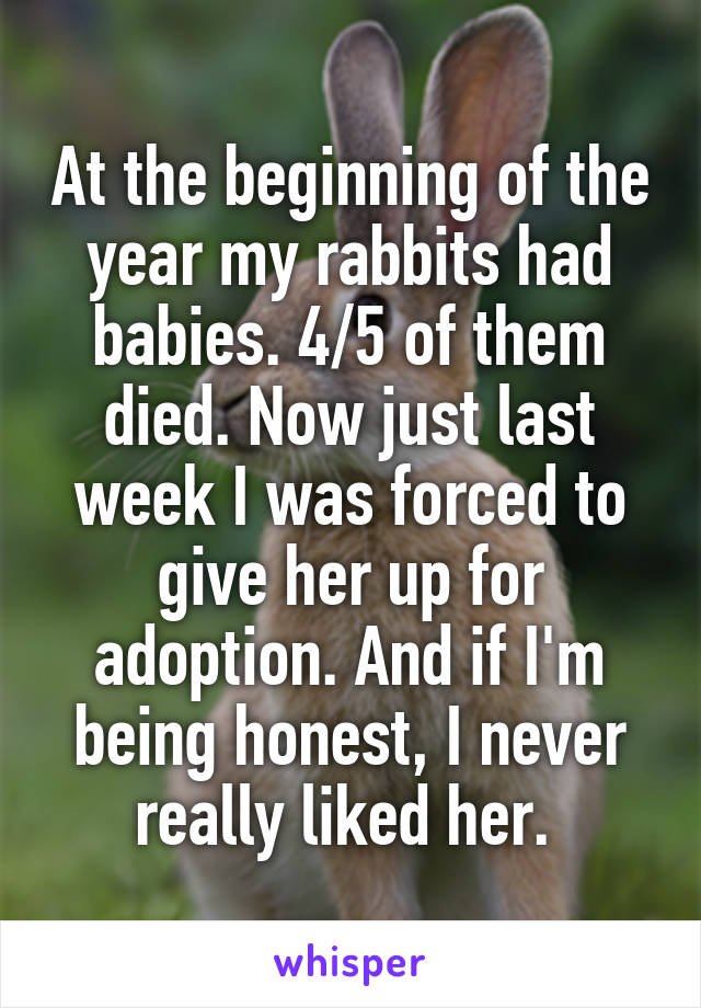 At the beginning of the year my rabbits had babies. 4/5 of them died. Now just last week I was forced to give her up for adoption. And if I'm being honest, I never really liked her. 