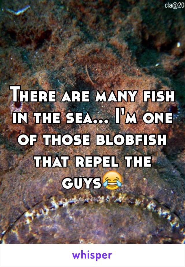 There are many fish in the sea... I'm one of those blobfish that repel the guys😂