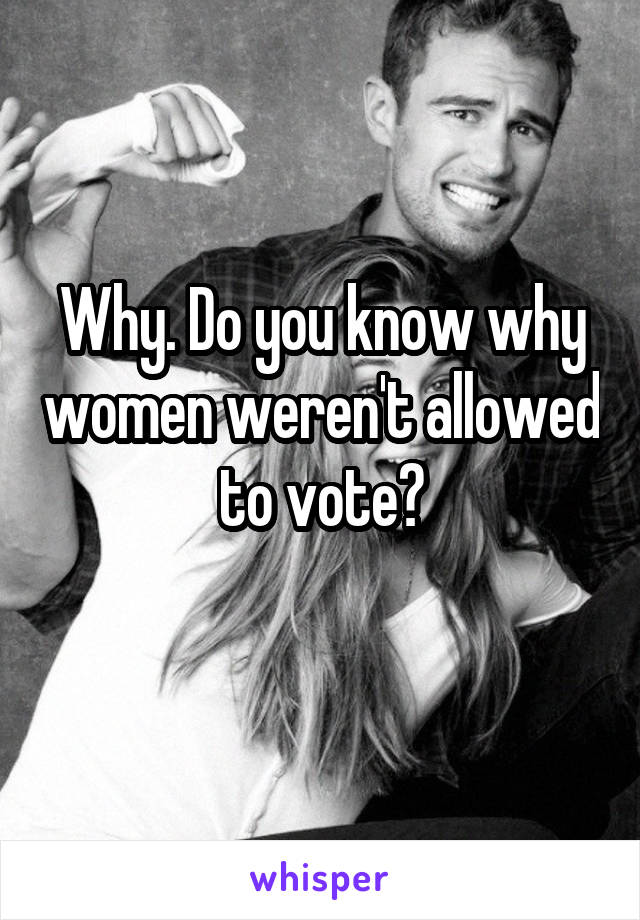 Why. Do you know why women weren't allowed to vote?
