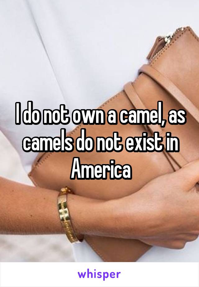 I do not own a camel, as camels do not exist in America