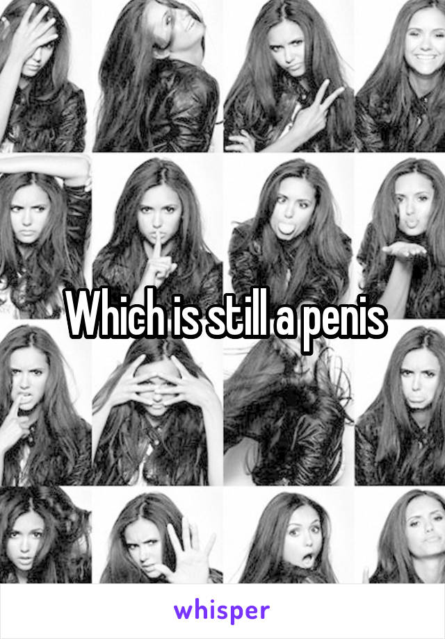 Which is still a penis