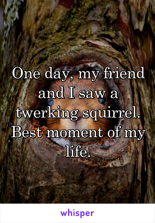 One day, my friend and I saw a twerking squirrel. Best moment of my life.