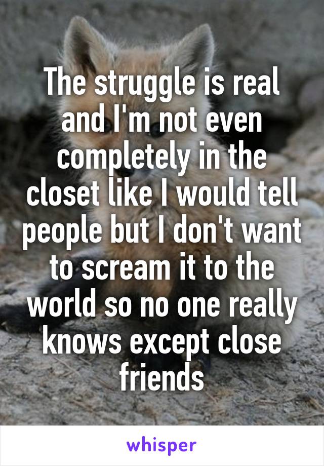 The struggle is real and I'm not even completely in the closet like I would tell people but I don't want to scream it to the world so no one really knows except close friends