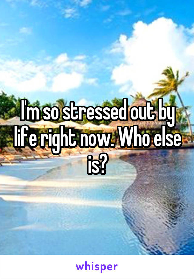 I'm so stressed out by life right now. Who else is?