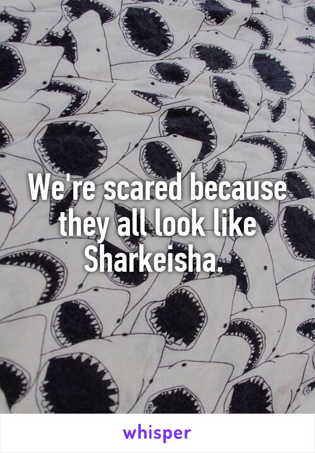 We're scared because they all look like Sharkeisha. 