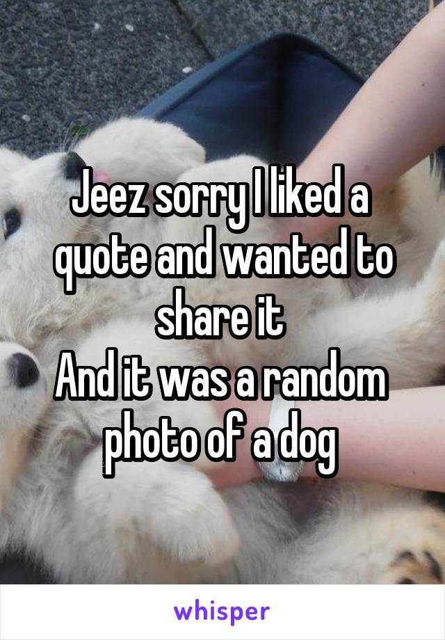 Jeez sorry I liked a  quote and wanted to share it 
And it was a random  photo of a dog 