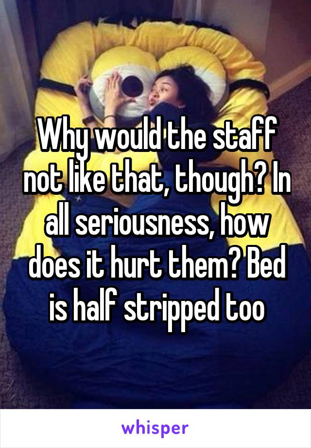 Why would the staff not like that, though? In all seriousness, how does it hurt them? Bed is half stripped too