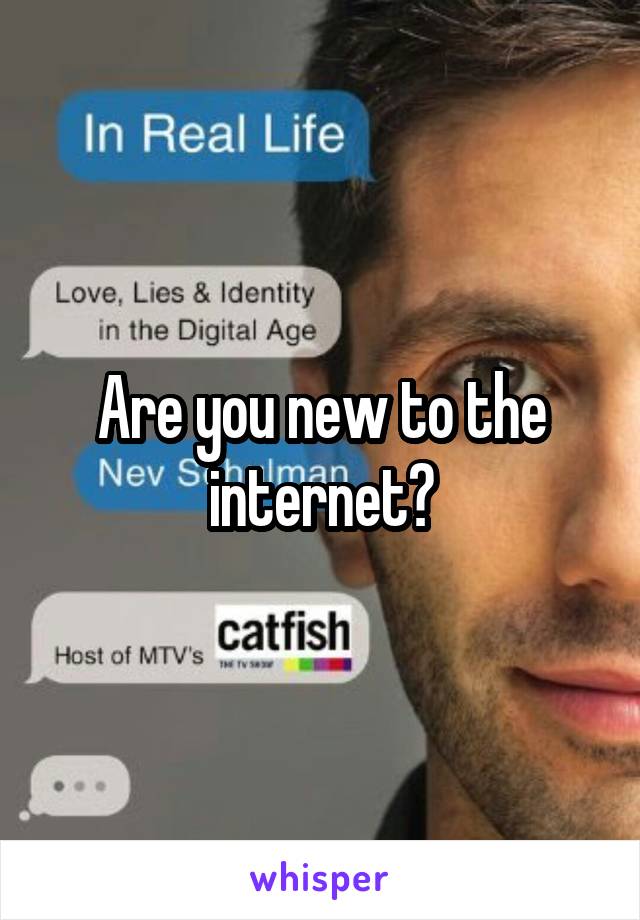 Are you new to the internet?