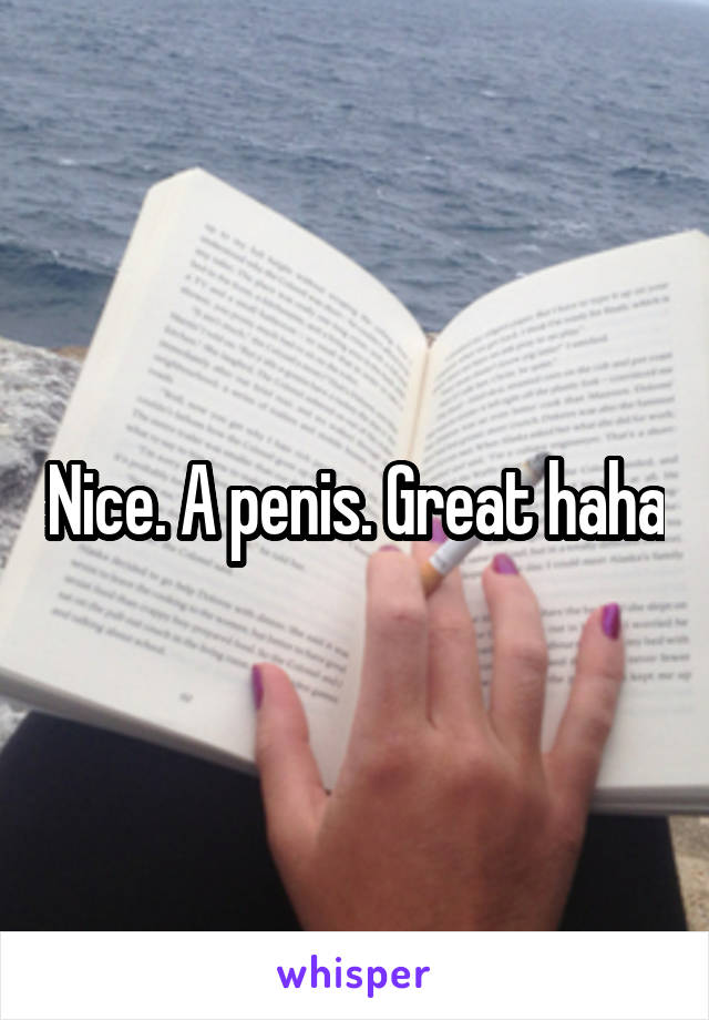 Nice. A penis. Great haha