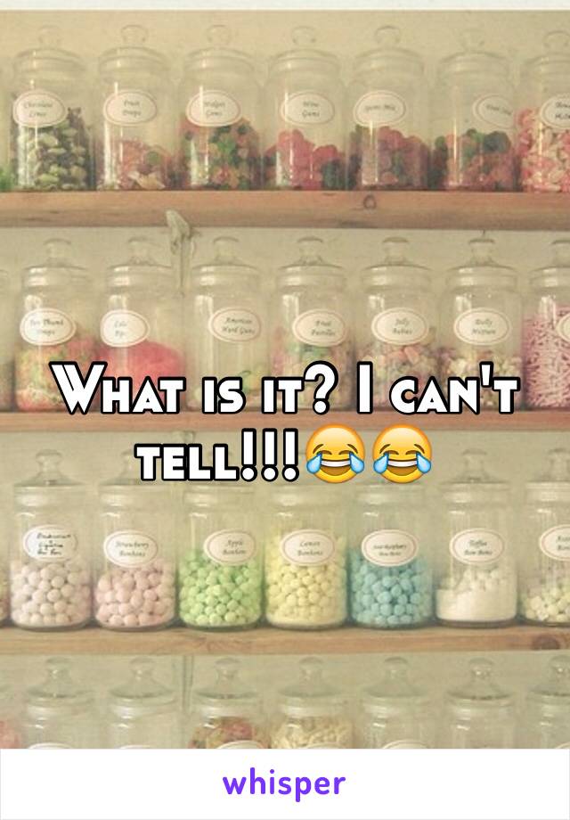 What is it? I can't tell!!!😂😂