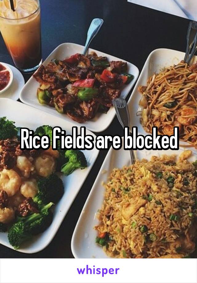 Rice fields are blocked