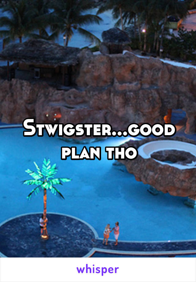 Stwigster...good plan tho