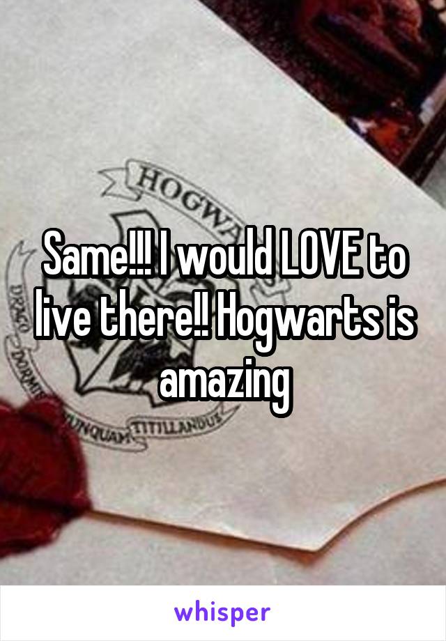 Same!!! I would LOVE to live there!! Hogwarts is amazing