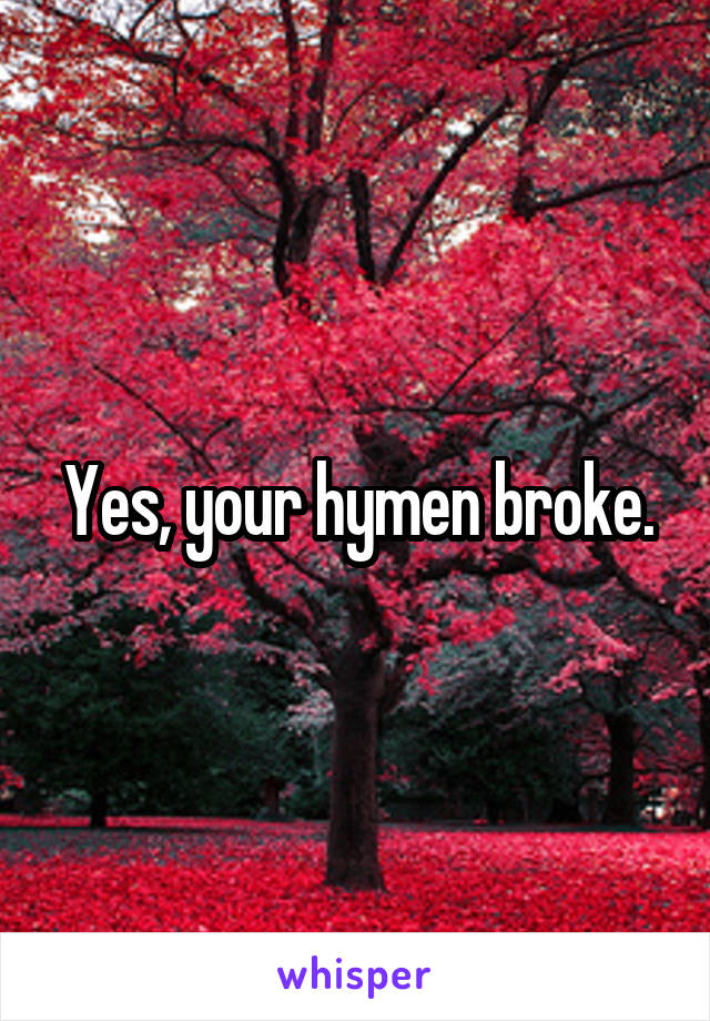 Yes, your hymen broke.