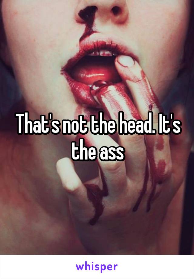 That's not the head. It's the ass