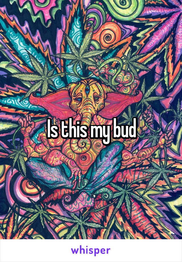 Is this my bud