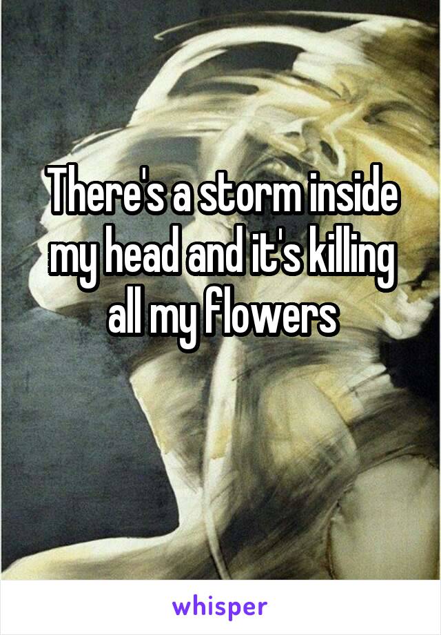 There's a storm inside my head and it's killing all my flowers


