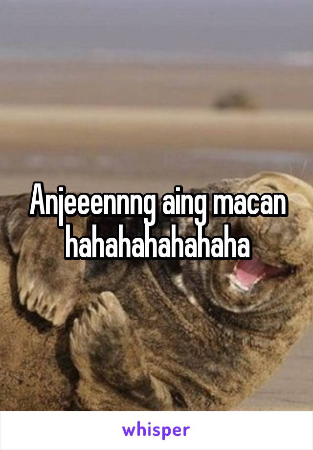Anjeeennng aing macan hahahahahahaha