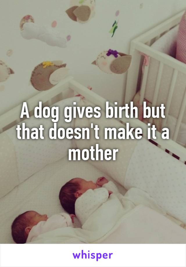A dog gives birth but that doesn't make it a mother