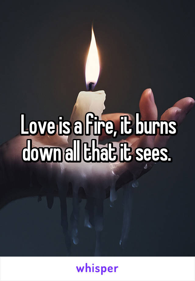 Love is a fire, it burns down all that it sees. 